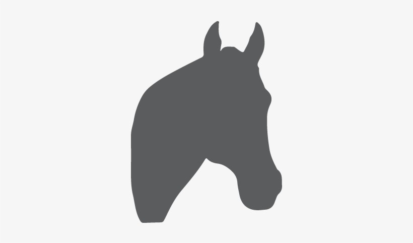 profile-athletes-img